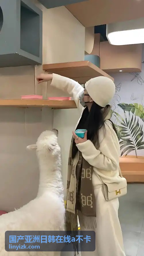 高清极速专区国产内容